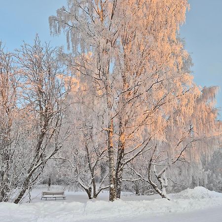 Tilava Uudistettu Perheasunto Apartment Rovaniemi Exterior foto